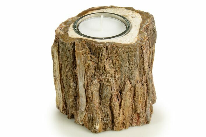 Polished Petrified Wood Candle Holder - Madagascar #337902